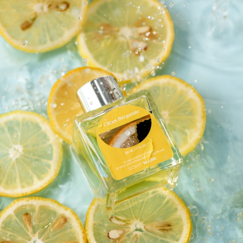 O1CN01XQtmNT1Td516b7z8A_2206436362404-0-cib